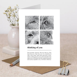 Coulson Macleod Greetings cards for every occasion