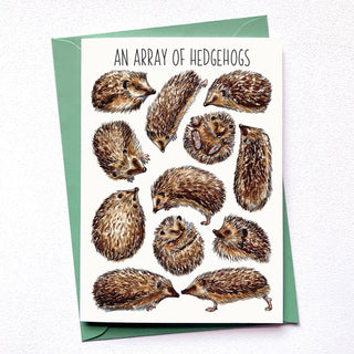 An Array of Hedgehogs Art Blank Greeting Card