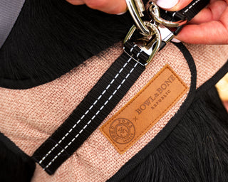 Soho Poms x Bowl & Bone Republic Mayfair Harness - Salmon
