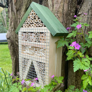 Bug Hotel