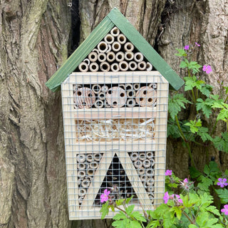 Bug Hotel
