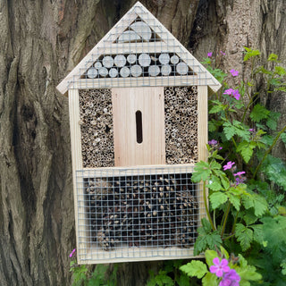 Bug Hotel
