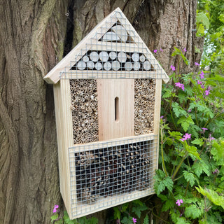 Bug Hotel
