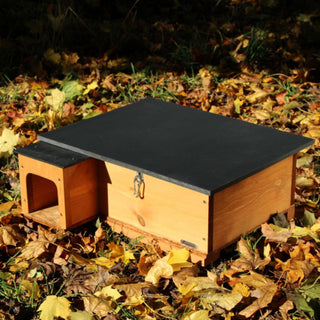 Hedgehog House