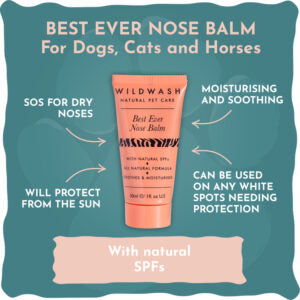 WildWash Pet – Best Ever Nose Balm