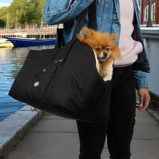 Soho Poms Black & Pink Luxury Rainy Bear Dog Carrier with Zipper