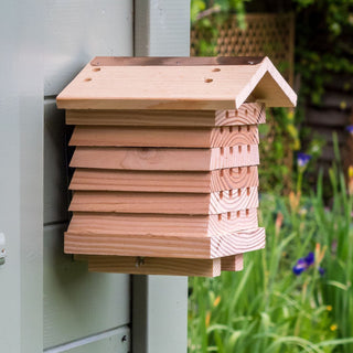 Solitary Bee Hive