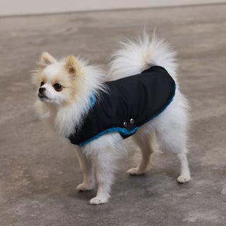Soho Poms Black & Ivory Teddy Bear Waterproof Dog Jacket