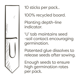 Bee-Friendly Wildflower Seed Mix