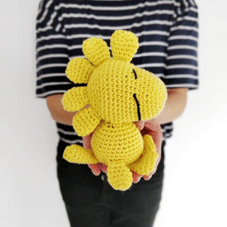 Woodstock Easy Crochet Kit