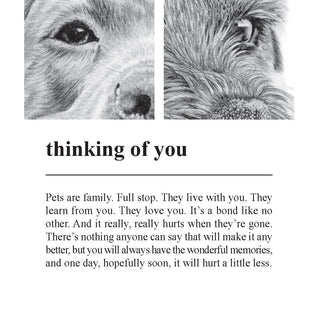 Coulson Macleod Greetings cards for every occasion