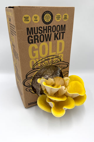Grow Your Own Wellness with Oyster Mushroom Kits