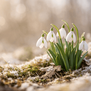 Happy New Year — New Beginnings, Thoughtful Choices - Pangolins