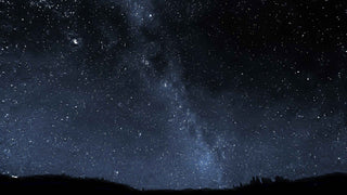 The Healing Power of Darkness: Why Dark Skies Matter—for Wildlife and for You - Pangolins