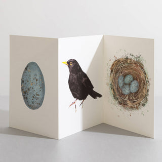 Eco-Friendly Blank Cards For Every Occasion