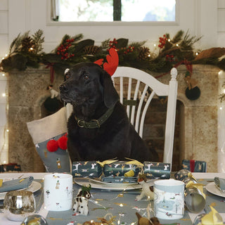 Sophie Allport Festive Dogs Christmas Crackers – Set of Six (Plastic-Free & Sustainable)