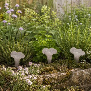 Burgon & Ball Sophie Conran Herb Plant Labels Set of 6