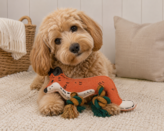 Sophie Allport Fox Rope Dog Toy | Squeaky Tug Toy for Dogs