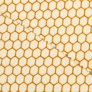 Reusable Beeswax Food Wraps – Organic Cotton Plastic-Free Food Wrap