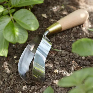 Sophie Conran - Stainless Steel Weeding & Cultivating Tool (Gift Boxed)
