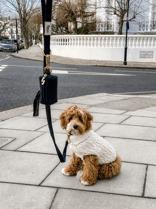 By Teddy Bouclé Dog Lead | Luxury Soft Dog Lead