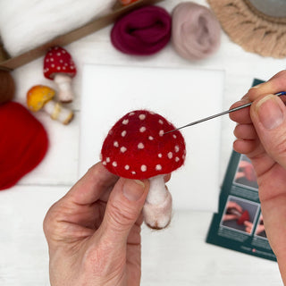 Bergin & Bath Toadstool Needle Felting Kit for Adults – Beginners’ Mushroom Craft Kit