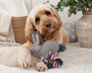 Sophie Allport Hare Dog Toy | Luxury Squeaky Dog Toy UK