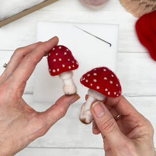 Bergin & Bath Toadstool Needle Felting Kit for Adults – Beginners’ Mushroom Craft Kit