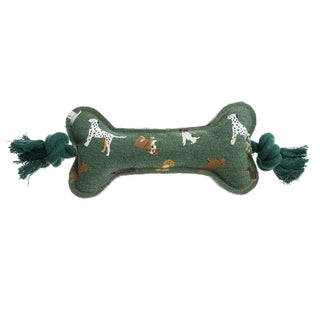 Green dog toy shaped like a bone with tassels on a white background - Pangolins