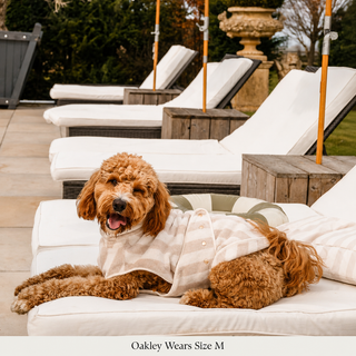 Hazelnut Stripe | The Cosy Cloak Drying Robe