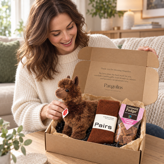 Alpaca Lover’s Gift Hamper – Soft Toy, Alpaca Socks & Fudge