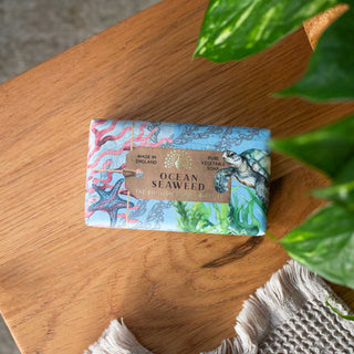 Anniversary Ocean Seaweed Soap