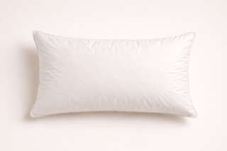 Feather Cushion Inner 60 x 40cm