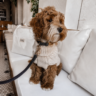 By Teddy Bouclé Dog Lead | Luxury Soft Dog Lead