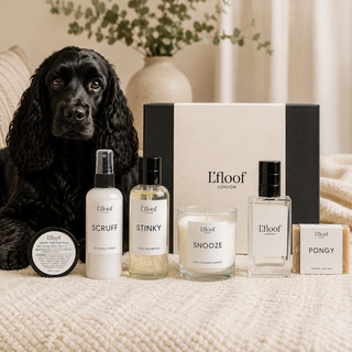 Dog sitting next to L'flooof London pet care products including bottles, a candle, and a box Pangolins