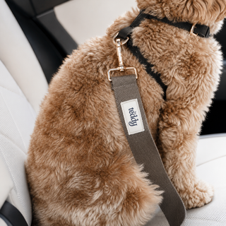 By Teddy Adjustable Dog Seat Belt Safety Clip for Car Travel
