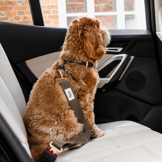 By Teddy Adjustable Dog Seat Belt Safety Clip for Car Travel