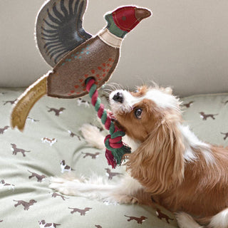 Sophie Allport Pheasant Rope Dog Toy | Luxury Squeaky Dog Toy