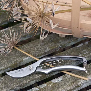 Sophie Conran Stainless Steel Secateurs