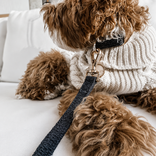 By Teddy Bouclé Dog Lead | Luxury Soft Dog Lead