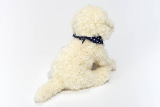 Hermann Teddy Collection Labradoodle Soft Toy with Star Scarf