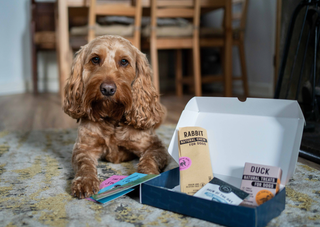 Happy Dog Hamper Gift for Dogs | Natural Dog Treat Box | Pangolins