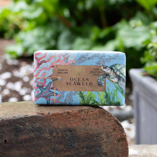 Anniversary Ocean Seaweed Soap