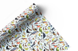Garden Birds of Britain wrapping paper Sheets