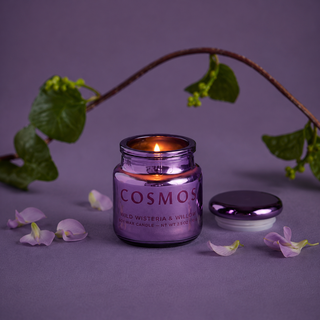 Paddywax Chroma Wisteria & Willow Soy Wax Candle 70g