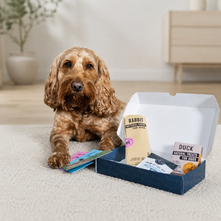 Happy Dog Hamper Gift for Dogs | Natural Dog Treat Box