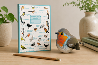Robin Discovery Gift Set | EUGY Robin & Garden Bird Spotting Book