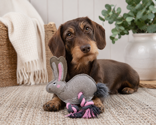 Sophie Allport Hare Dog Toy | Luxury Squeaky Dog Toy UK