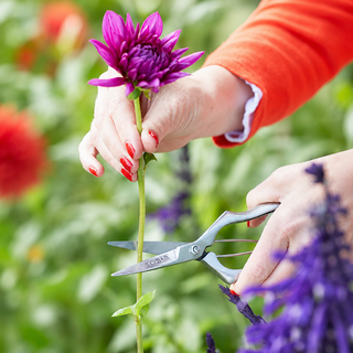 Burgon & Ball Sophie Conran Precision Secateurs | Floristry Pruners