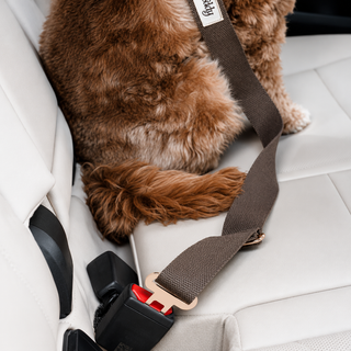 By Teddy Adjustable Dog Seat Belt Safety Clip for Car Travel